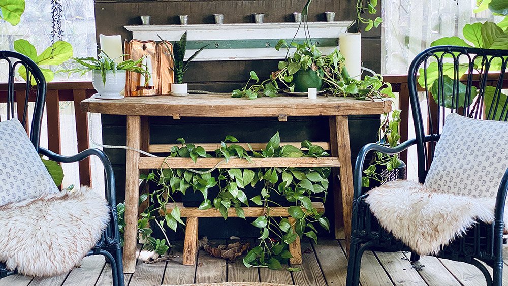 Vintage wooden table with plants